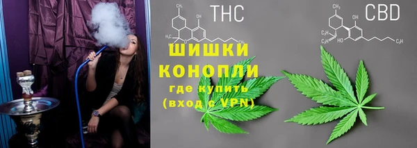 PSILOCYBIN Алексеевка