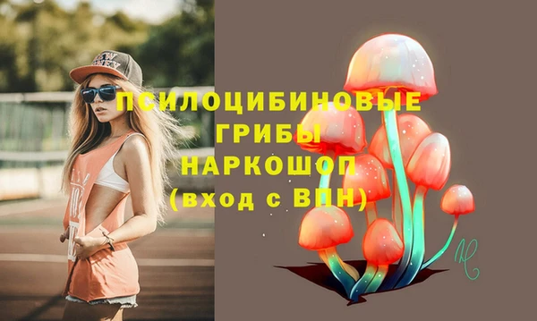 не бодяженный Алексин