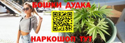 дживик Дубна